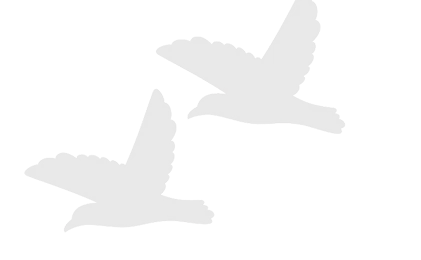 bird center