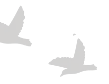 birdleft
